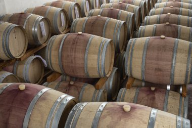 Şarap mahzeninde ahşap şarap fıçıları