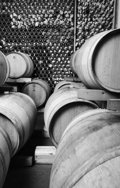 Barricas de vino de madera en bodega — Foto de Stock