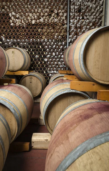 Barricas de vino de madera en bodega — Foto de Stock