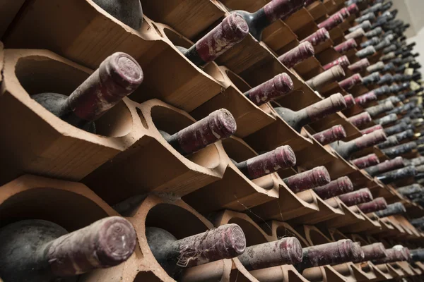 Oude rode wijn flessen veroudering in een wijnkelder — Stockfoto