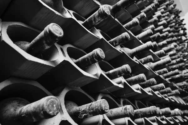 Old red wine bottles aging in a wine cellar — Stock Photo, Image