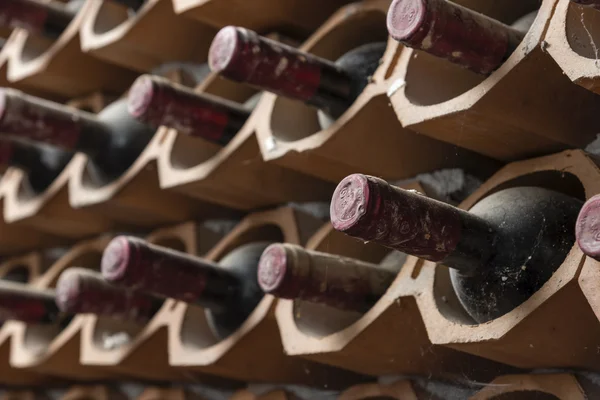 Garrafas de vinho tinto velho envelhecimento em uma adega — Fotografia de Stock