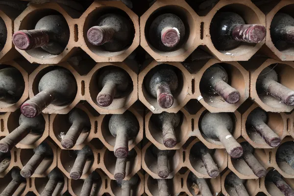 Старі червоні пляшки вина, що старіють у винному підвалі — стокове фото
