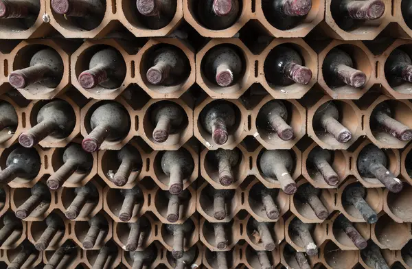 Old red wine bottles aging in a wine cellar — Stock Photo, Image