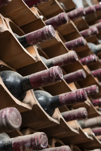 Old red wine bottles aging in a wine cellar — Stock Photo, Image