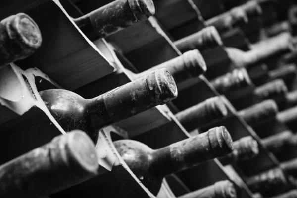 Old red wine bottles aging in a wine cellar — Stock Photo, Image