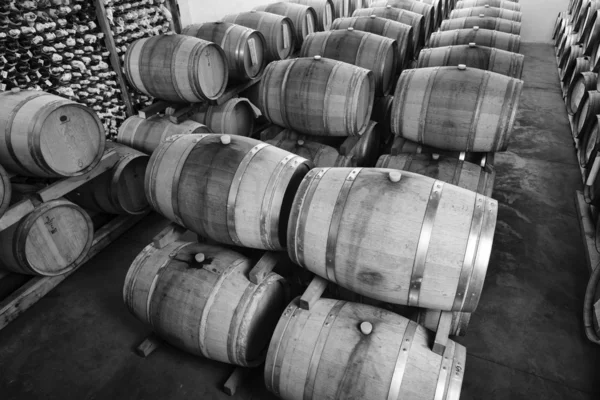 Barils de vin en bois dans une cave à vin — Photo