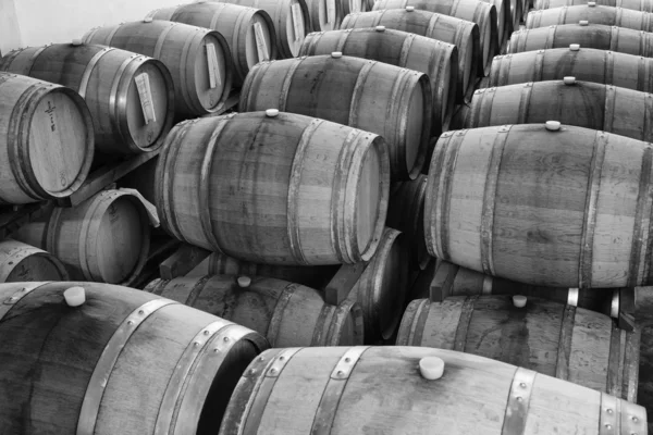 Şarap mahzeninde ahşap şarap fıçıları — Stok fotoğraf