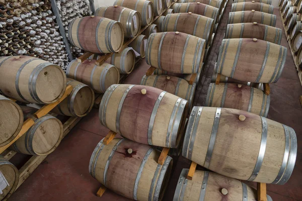 Barricas de vino de madera en bodega — Foto de Stock