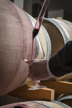 Italy, Sicily, red wine pouring from a wooden barrel into a glass in a wine cellar clipart