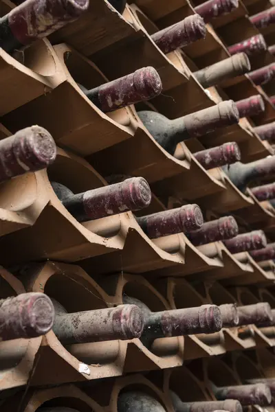이탈리아, 시칠리아, Ragusa 성 목조 와인 배럴 와인 저장 고에서 — 스톡 사진