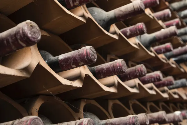 イタリア、シチリア、ラグーザの州、木のワイン樽のワイン貯蔵室で — ストック写真