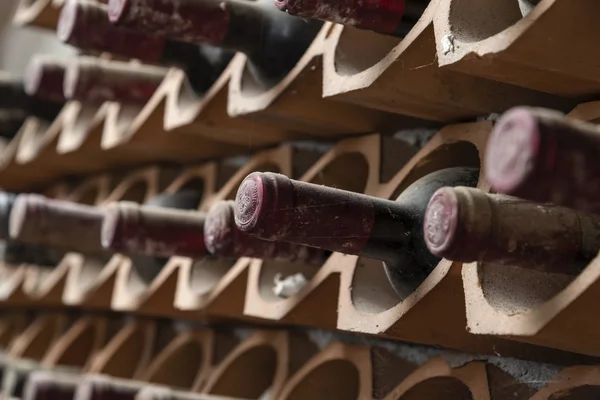 Italia, Sicilia, Provincia de Ragusa, barricas de vino de madera en una bodega — Foto de Stock