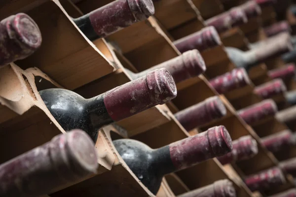 Italia, Sicilia, Provincia de Ragusa, barricas de vino de madera en una bodega — Foto de Stock