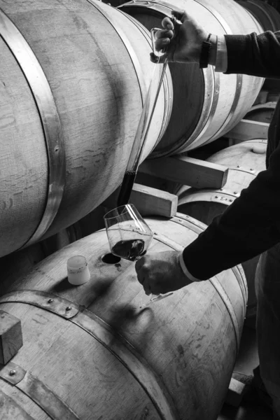 Italie, Sicile, vin rouge versé d'un tonneau en bois dans un verre dans une cave à vin — Photo