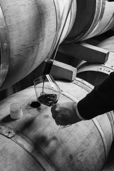 Italia, Sisilia, punaviini, joka virtaa puutynnyristä viinikellariin lasiin — kuvapankkivalokuva