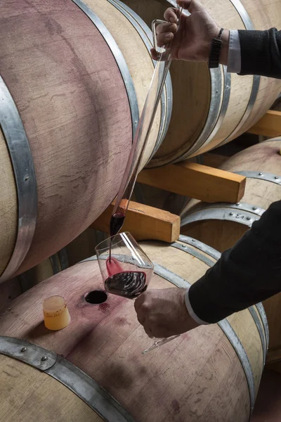 Italia, Sicilia, vino tinto vertido de un barril de madera en una copa en una bodega — Foto de Stock