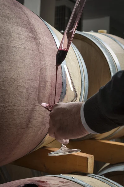 Itálie, Sicílie, červené víno přelijete z dřevěného sudu do skla ve vinném sklípku — Stock fotografie