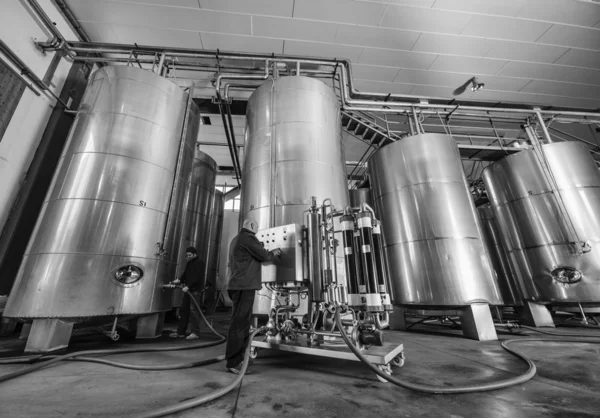 Italy, Sicily, Ragusa province, countryside, stainless steel wine containers in a wine factory — Stock Photo, Image