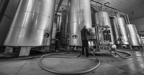 Italy, Sicily, Ragusa province, countryside, stainless steel wine containers in a wine factory — Stock Photo, Image