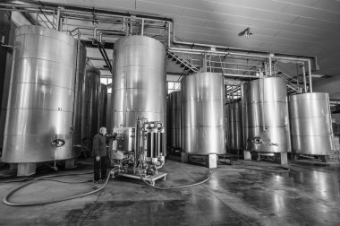 İtalya, Sicilya, ragusa eyaletinde, kırsal, paslanmaz çelik şarap kaplarda şarap fabrikası