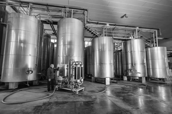 İtalya, Sicilya, ragusa eyaletinde, kırsal, paslanmaz çelik şarap kaplarda şarap fabrikası