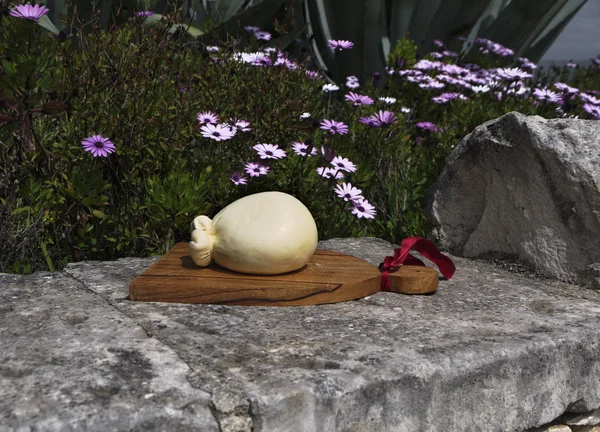 Italy, Sicily, sicilian fresh cheese — Stock Photo, Image