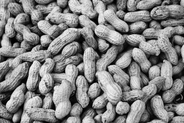 Pečené arašídy — Stock fotografie