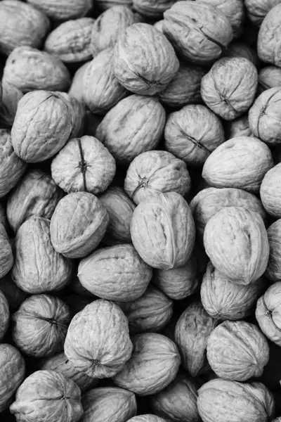 Gedroogde noten — Stockfoto