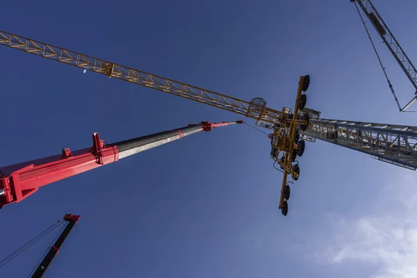 Grues à tour, porte-verre — Photo