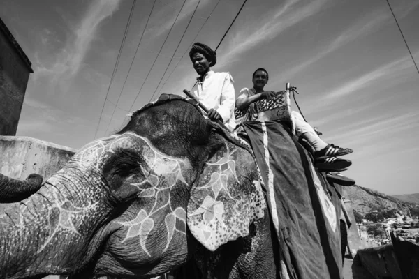 Indie, Radżastan, jaipur, zdobione słoń prowadzenie turystą w amber fort — Zdjęcie stockowe