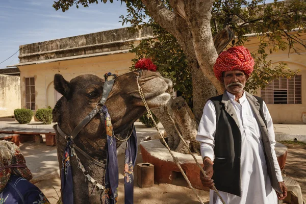 India, Rajasthan, Jaipur, indian man in traditional cloths holds is camel — Stock Photo, Image