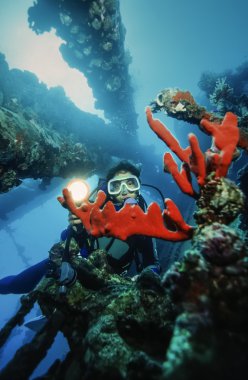 Sudan Kızıl Deniz, UW fotoğraf, umbria batık batık gemi bir dalgıç
