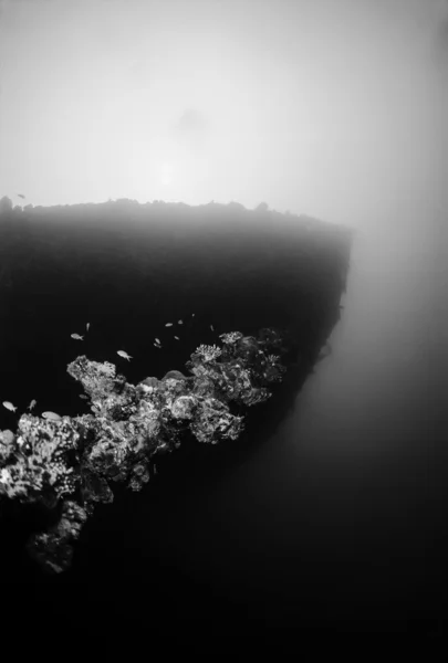 SUDAN, Red Sea, U.W. photo, Umbria wreck, the bow of the sunken ship — Stock Photo, Image
