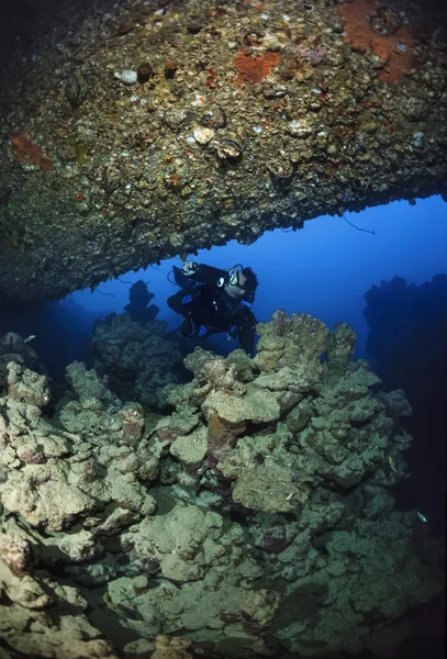 Sudan, röda havet, u.w. foto, Umbrien vraket — Stockfoto