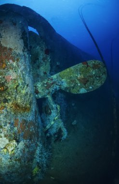 Sudan Kızıl Deniz, sha'ab swadi, UW fotoğraf, Toyotalarda batık, batık gemi pervanesi