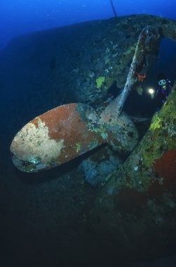 Sudan Kızıl Deniz, sha'ab swadi, UW fotoğraf, Toyotalarda batık, batık gemi pervanesi