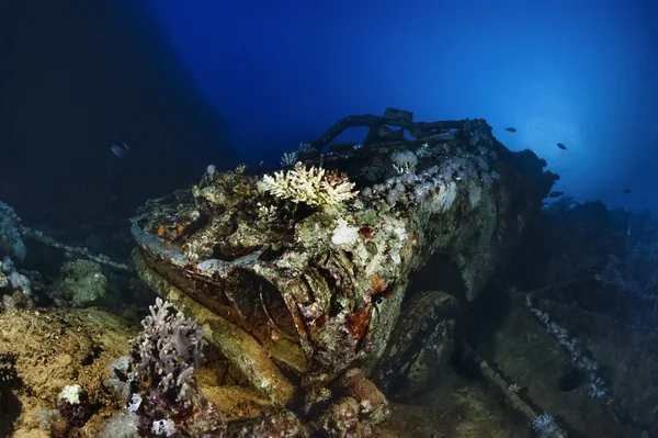 SUDAN, Red Sea, Sha 'ab Swadi, U.W. фото: Тойота, одна из многих машин, находившихся на борту затонувшего корабля — стоковое фото