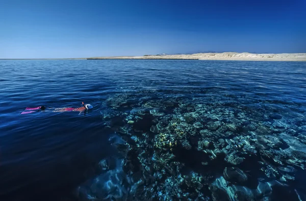 Récif corallien plongée avec tuba — Photo