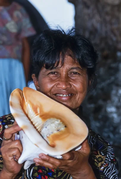 Seashell in vendita in un mercato locale — Foto Stock