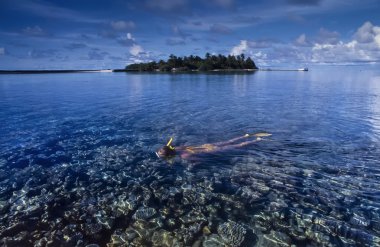 küçük bir ada mercan içinde şnorkel kadın