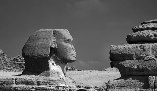 Vista de Giza sphinx — Fotografia de Stock