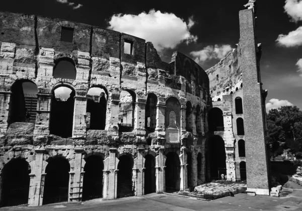 Pemandangan Colosseum Romawi — Stok Foto