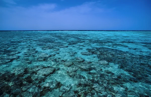 Visa av enorma korallrev巨大なサンゴ礁のビュー — ストック写真
