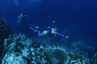 sualtı fotoğrafçısı