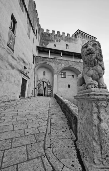 Italy, Tuscany, Pitigliano, Orsini Palace entrance, stone lion — Stock Photo, Image