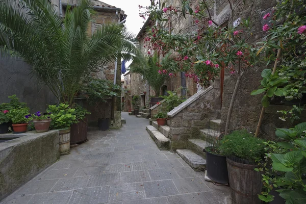 イタリア、トスカーナ、ピティリアーノ町、古い石造りの家 — ストック写真
