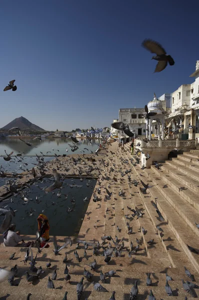 View of the town and the sacred lake, crowded by pigeons — Stock Photo, Image