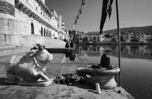 Indie, rajasthan, pushkar, pohled na město a staré náboženské socha posvátnou krávou — Stock fotografie