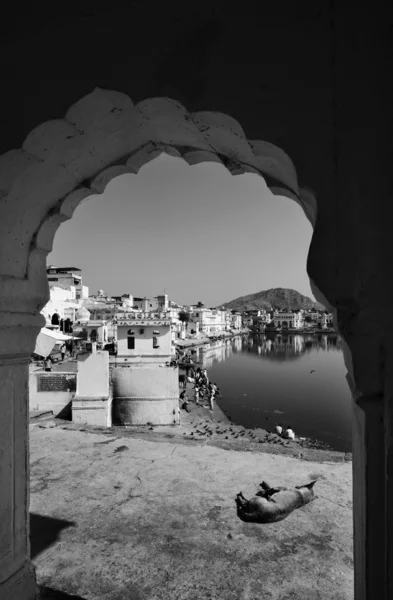 Indie, rajasthan, pushkar, pohled na město a posvátné jezero — Stock fotografie